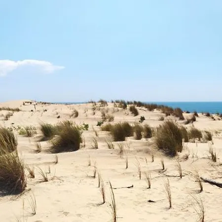 Vakantiehuis Climatisee Confort Avec Jardin, Terrasse Et Wifi A 300m Commerces Et 1km Plages - 6 Pers - Fr-1-705-32 La Palmyre