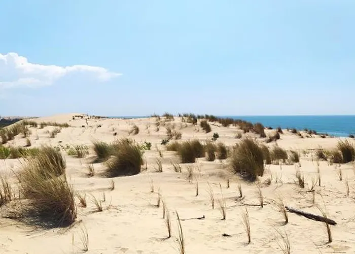 Σπίτι διακοπών Confortable - 6 Pers - Wifi - Fr-1-705-32 La Palmyre